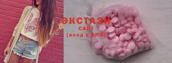мдпв Бородино
